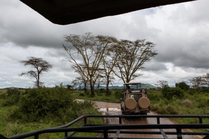 Game drive in Serengeti National Park