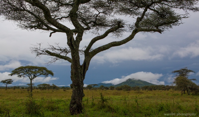 Serengeti National Park
