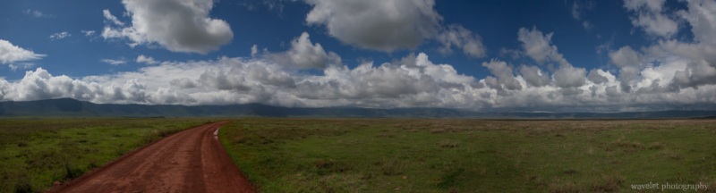 Panorama view of Ngorongoro Crater from the floor