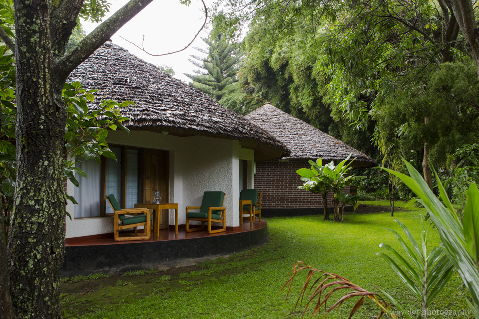 Rooms in Ilboru Safari Lodge, Arusha, Tanzania