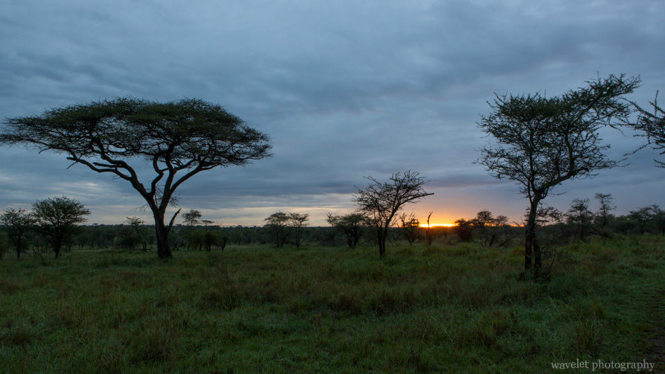 Sunrise over Serengeti National Park
