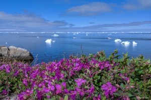 Hotel Icefiord, Ilulissat, Greenland
