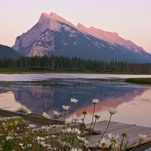 Read more about the article Banff and Jasper – Banff Town