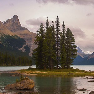 Read more about the article Banff and Jasper – Jasper N.P. (2009/8/10)