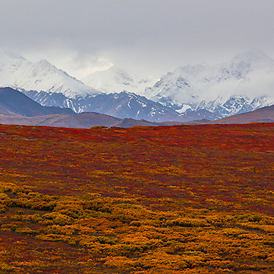Read more about the article Alaska – Denali National Park