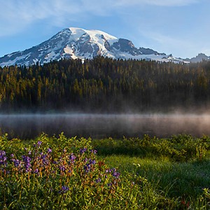Read more about the article Mt. Rainier – Paradise
