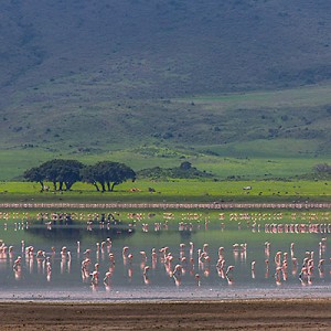 Read more about the article Tanzania – Ngorongoro Crater