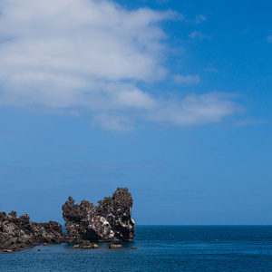 Read more about the article Galápagos – Float in the Wind