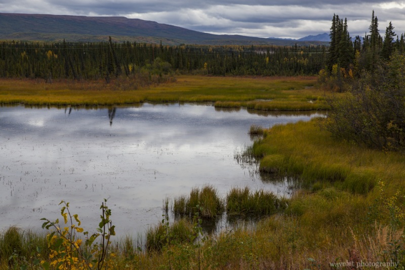 George Parks Highway, Alaska