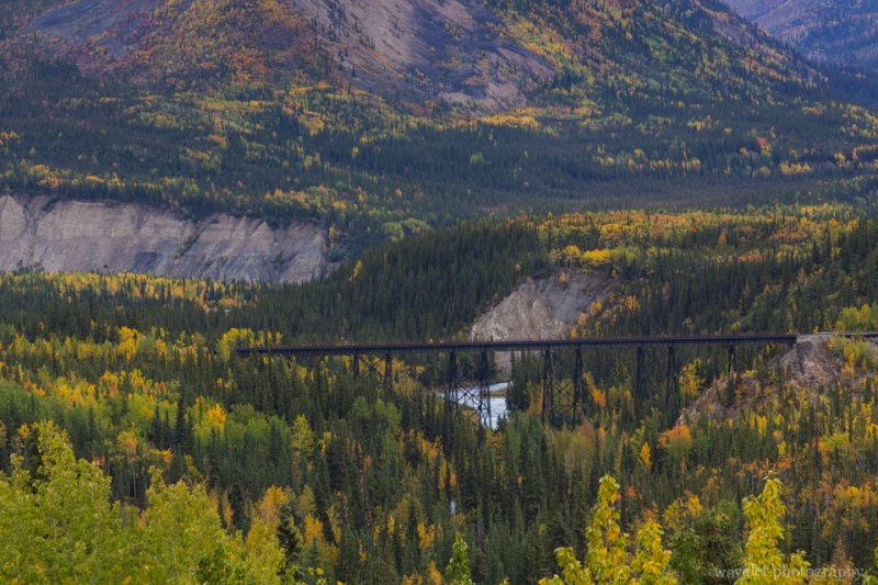Denali National Park, Alaska