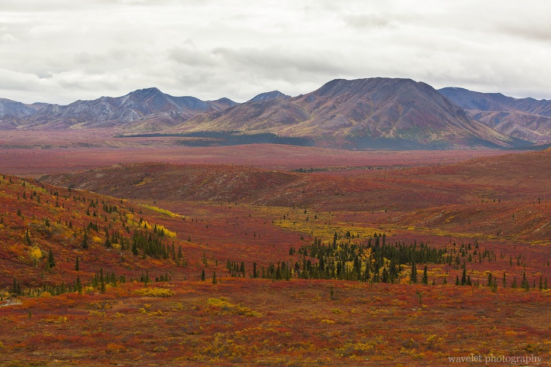 Denali National Park, Alaska