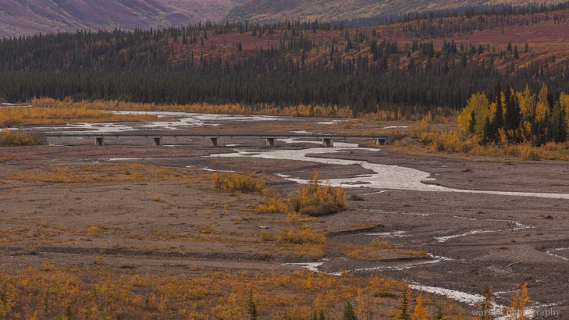Denali National Park, Alaska