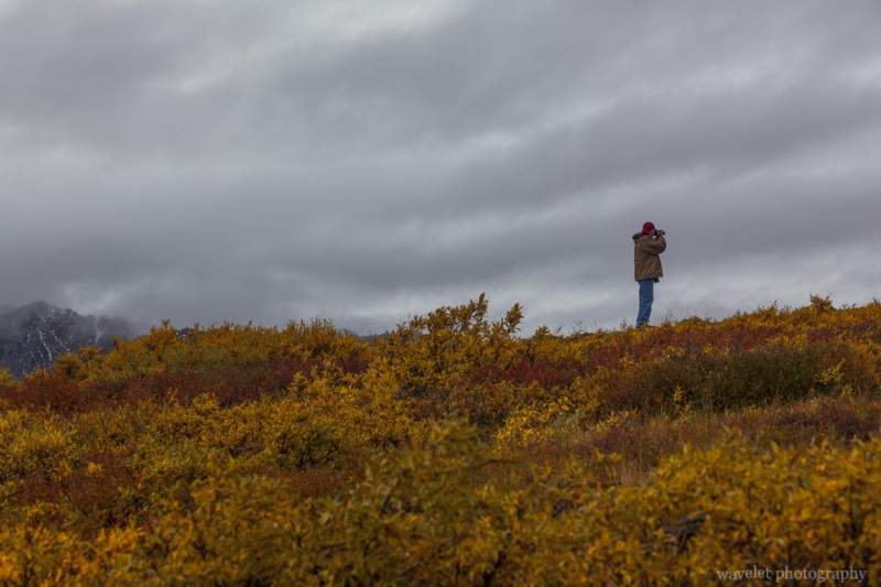 Stony Hill Overlook, Denali National Park, Alaska
