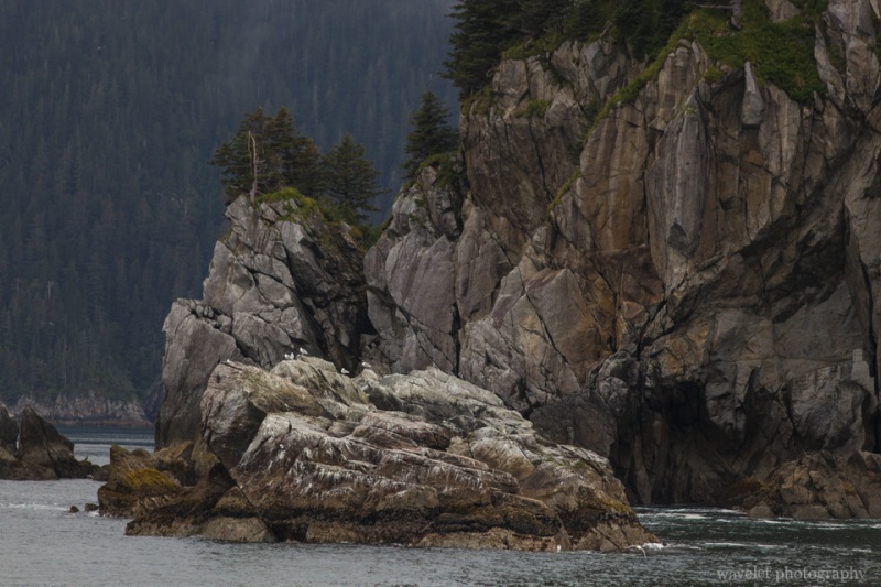 Kenai Fjords National Park, Alaska