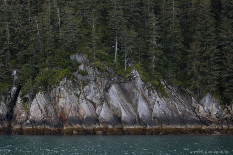 Kenai Fjords National Park, Alaska