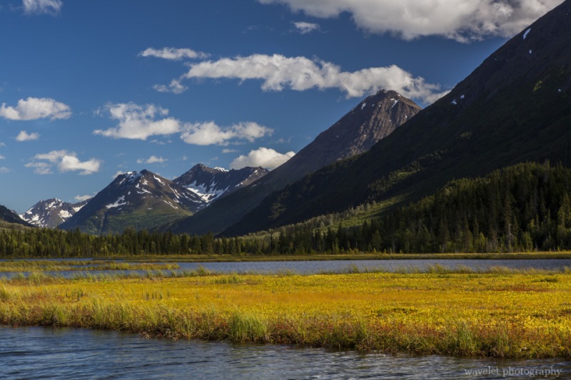 Near the junction of Seward Highway and the Sterling Highway, Alaska