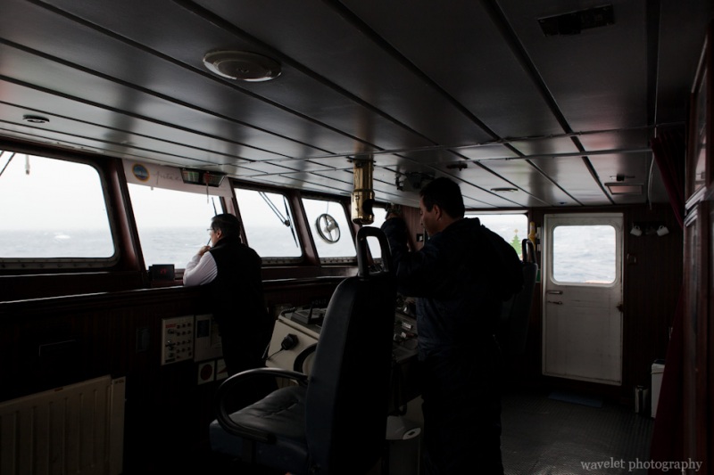 The Captain