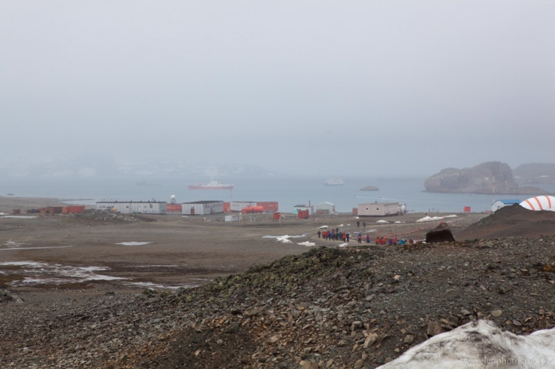 Walking to the Shore, King George Island
