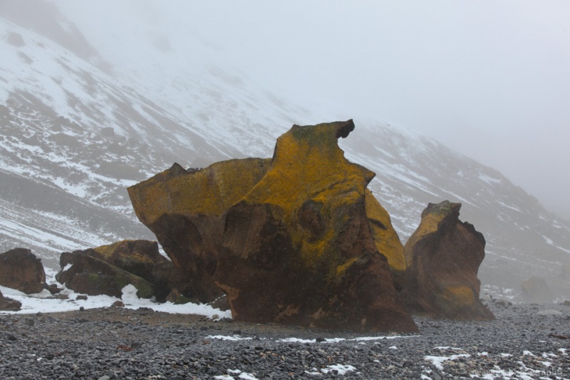Brown Bluff