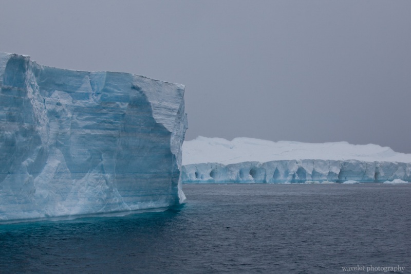 Icebergs, the Antarctic Sound