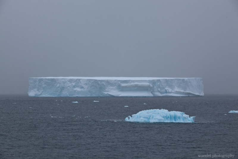 Icebergs, the Antarctic Sound