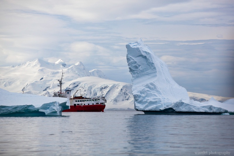 Icebergs, Cuverville Island