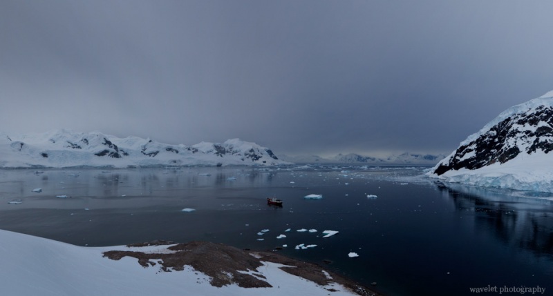 View Neko Harbour from the top