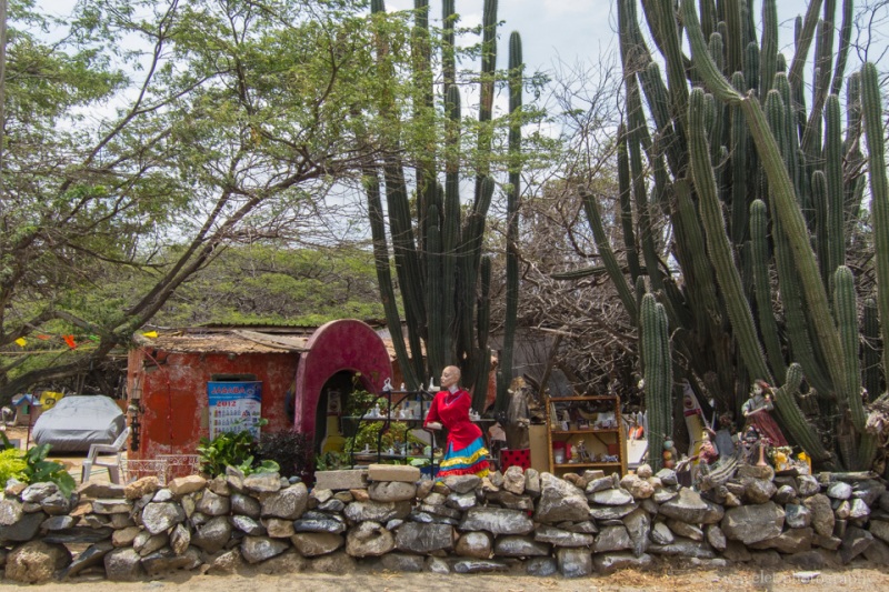 Village store by the road, Aruba