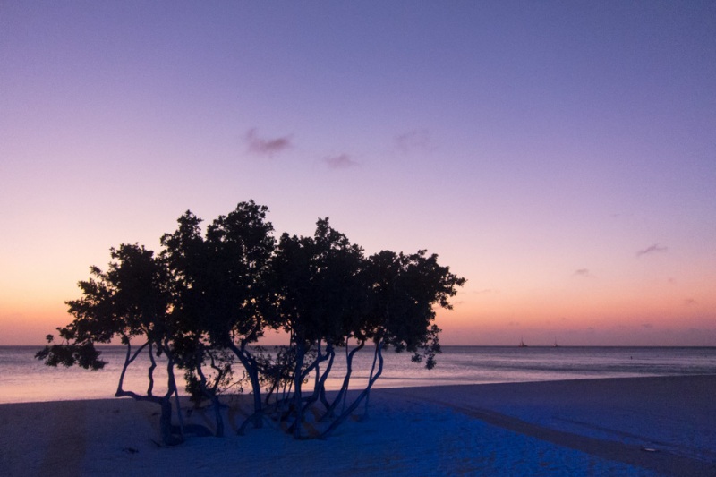 Ritz-Carlton Hotel, Aruba