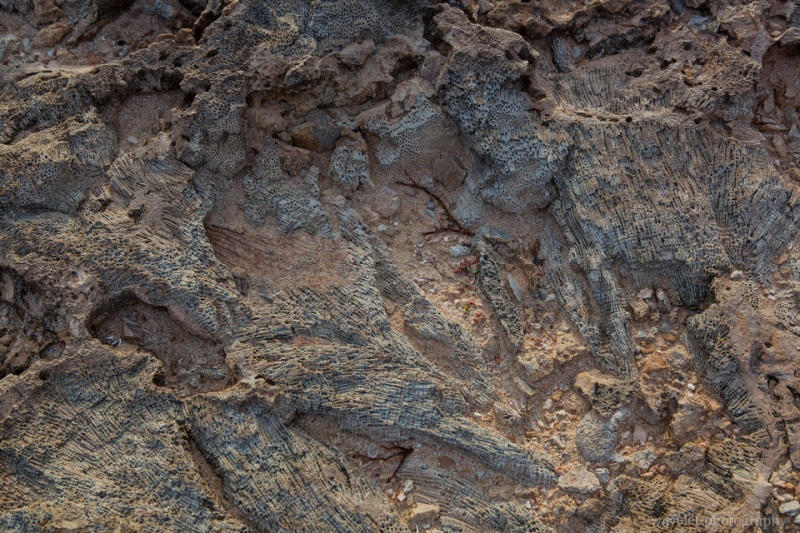 Sand formation at Northeast coast near Alto Vista Chapel, Aruba