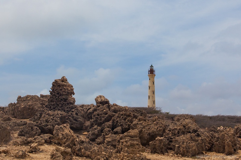 California Lighthouse, Aruba