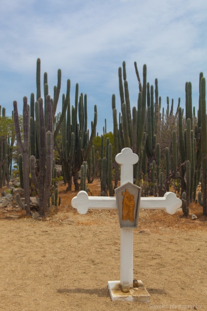 Alto Vista Chapel, Aruba