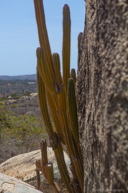 Casibari Rock Formations