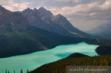 Peyto Lake, Banff