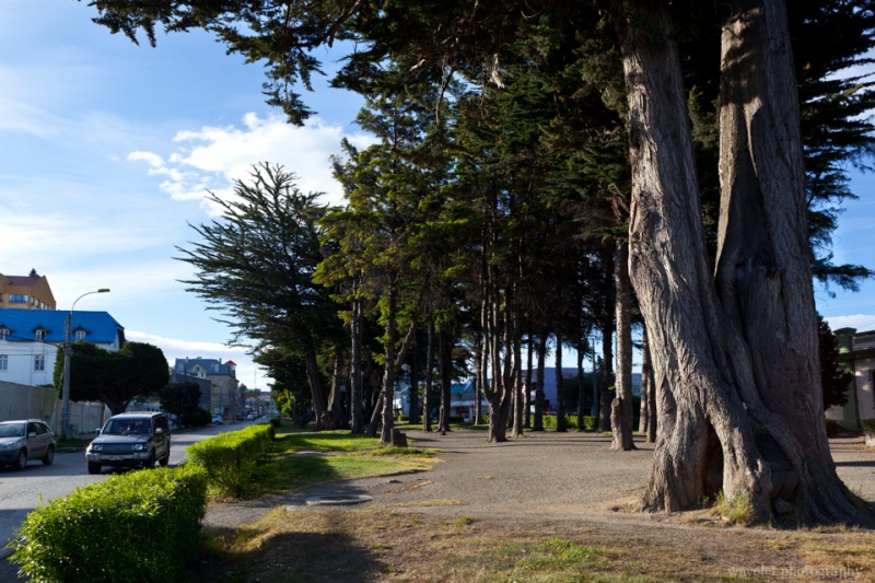 Punta Arenas