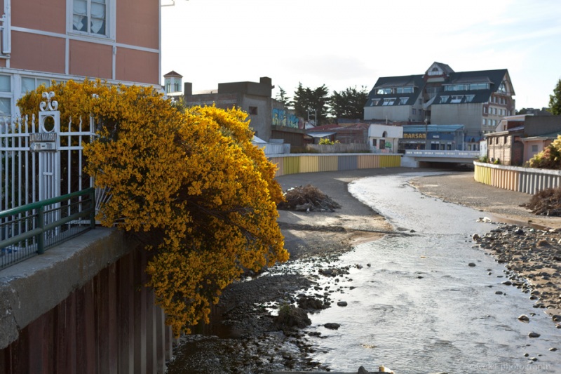 Punta Arenas