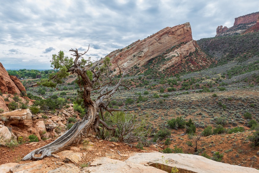 Lower Monument Canyon Trail