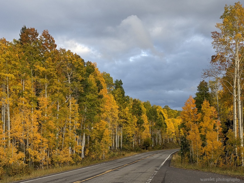 Grand Mesa