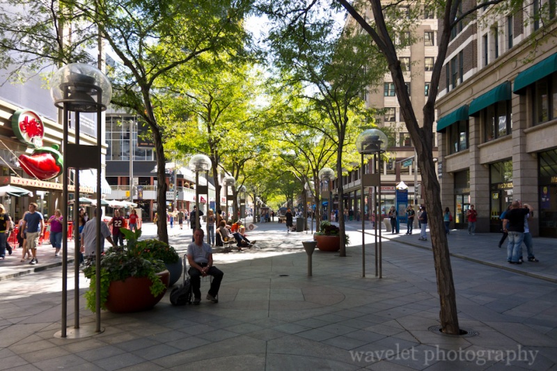 Tree-Lined Street, 16th Street Mall