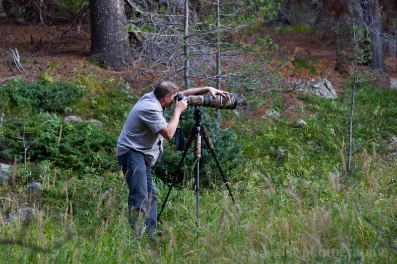 Long Lens on Moose, Bear Lake Rd., Rocky Mountain National Park