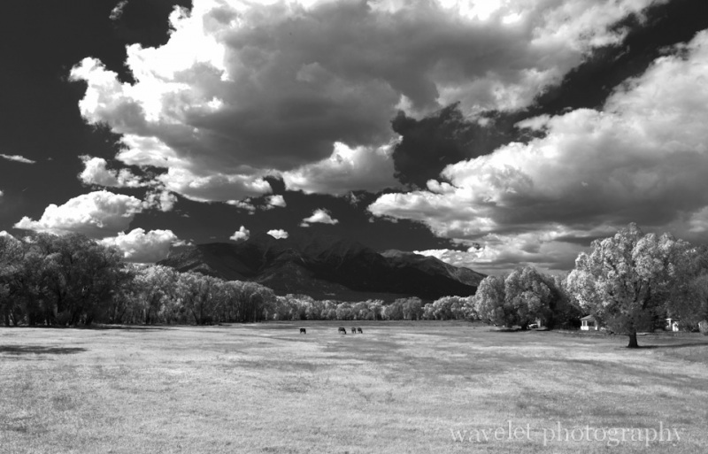A Road-Side Ranch close to Buena Vista