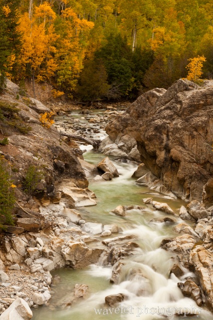 A Creek along Hwy. 82