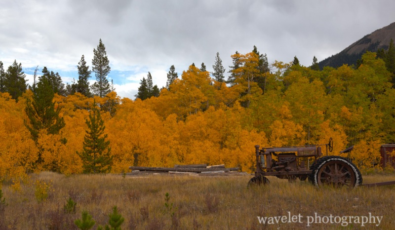 A Farm on Hwy.82