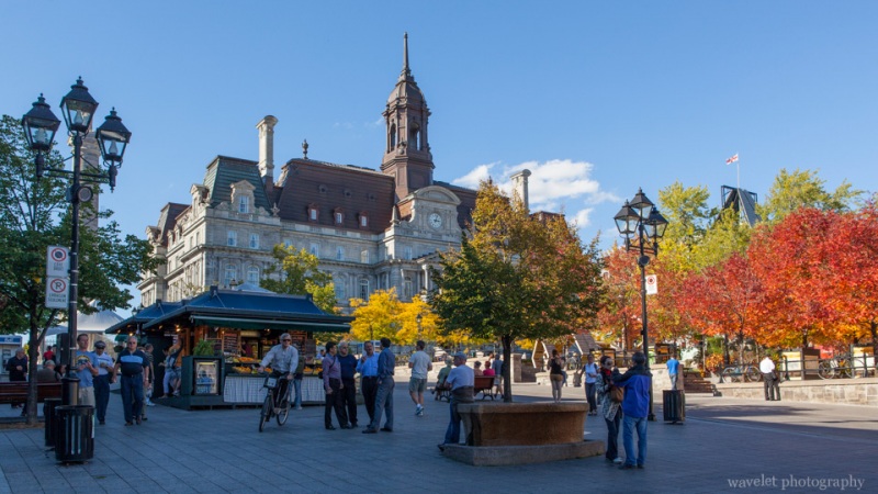 Montreal City Hall, Old Montreal