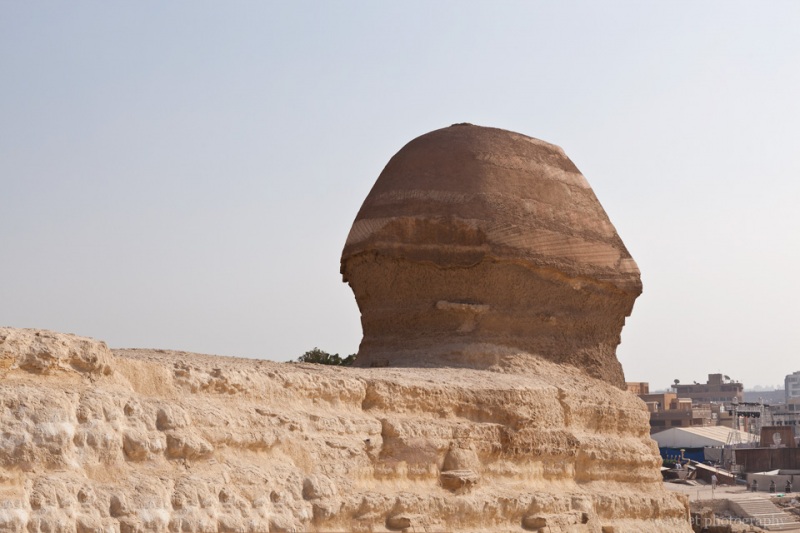 The Sphinx‘ back of the head