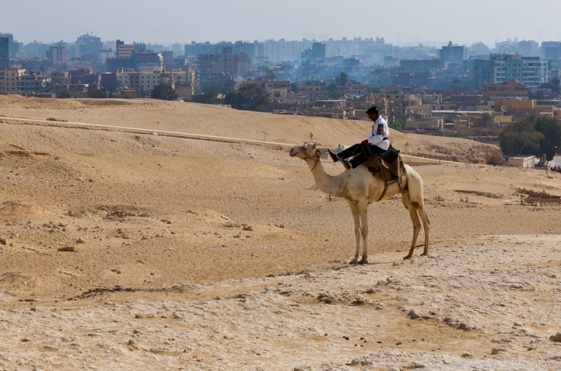 The Police Patrols the Giza Plateau