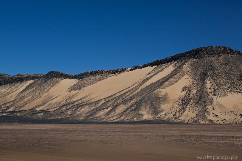 Black Desert
