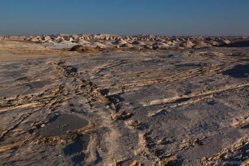 White Desert