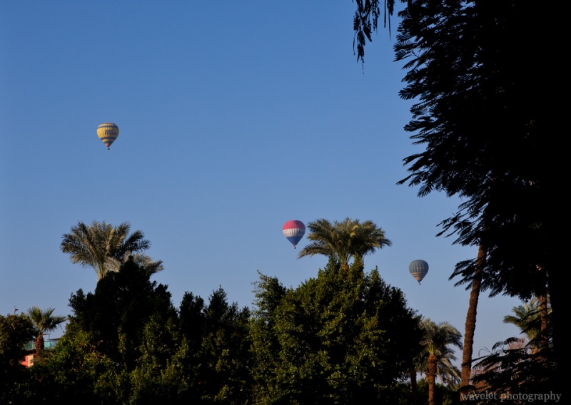Hot Air Balloons over Luxor