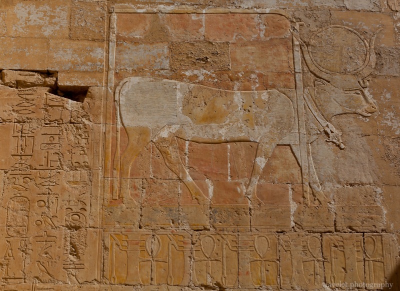 Hatshepsut Temple